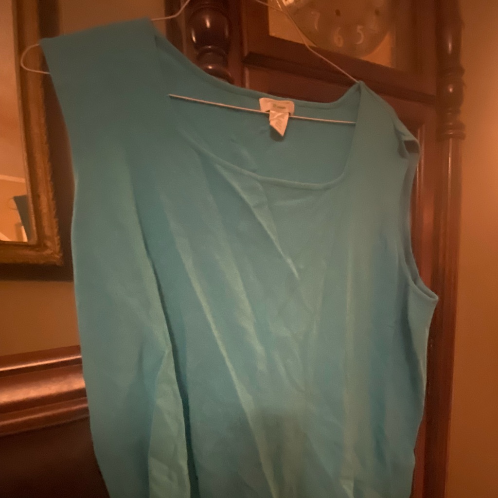Teal Shell